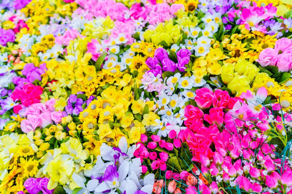 dobry nawóz do kwiatów