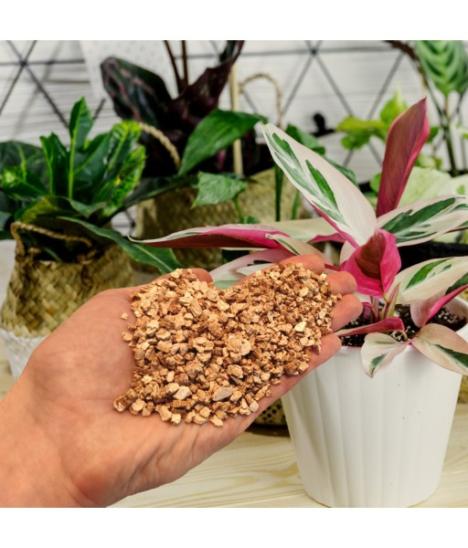 wermikulit ogrodniczy