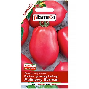 pomidory gruntowe