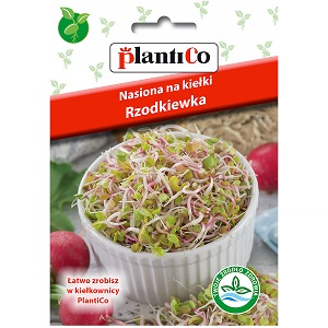 kiełki rzodkiewki