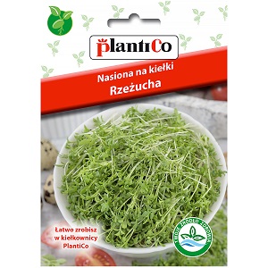 kiełki rzeżuchy