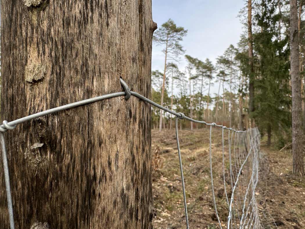 Siatka leśna mocowana skoblami do słupka drewnianego