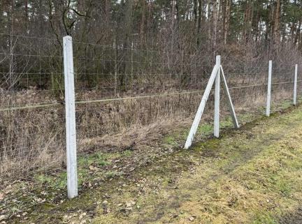 Ogrodzenia z siatki leśnej