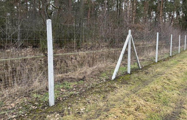 Ogrodzenia z siatki leśnej