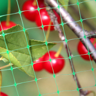 Elastyczna siatka ochronna przeciw ptakom 4,8 m x 30 m