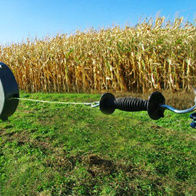 Lina do wygradzania sektorów zwijana 65m