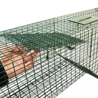 Łapica na lisy żywołowna wkładana do nory jedno wejście 90 cm