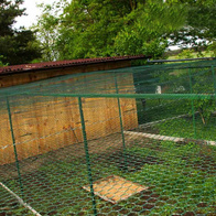 Siatka Hex z drobnym oczkiem 2cm, 25mb powlekana