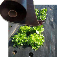 Agrotkanina pod korę czarna FLAWIA, wymiary 1,1m x 50m rolka