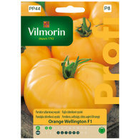 Pomidor szklarniowy pomarańczowy ORANGE WELLINGTON F1 VILMORIN nasiona 15 szt.