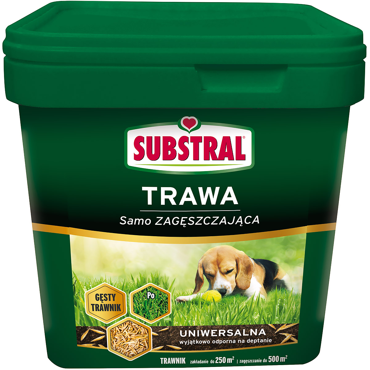 Trawa Substral samo zagęszczająca  5 kg