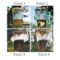 REDTOP skuteczna pułapka wabiąca na muchy i osy