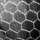 Siatka Hex z drobnym oczkiem 2,5cm, 50mb ocynkowana