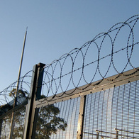 Zasiek ostrzowy płaski do ogrodzenia koszar fi 50cm