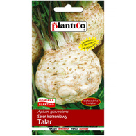 Seler Korzeniowy Talar nasiona Plantico 1 g