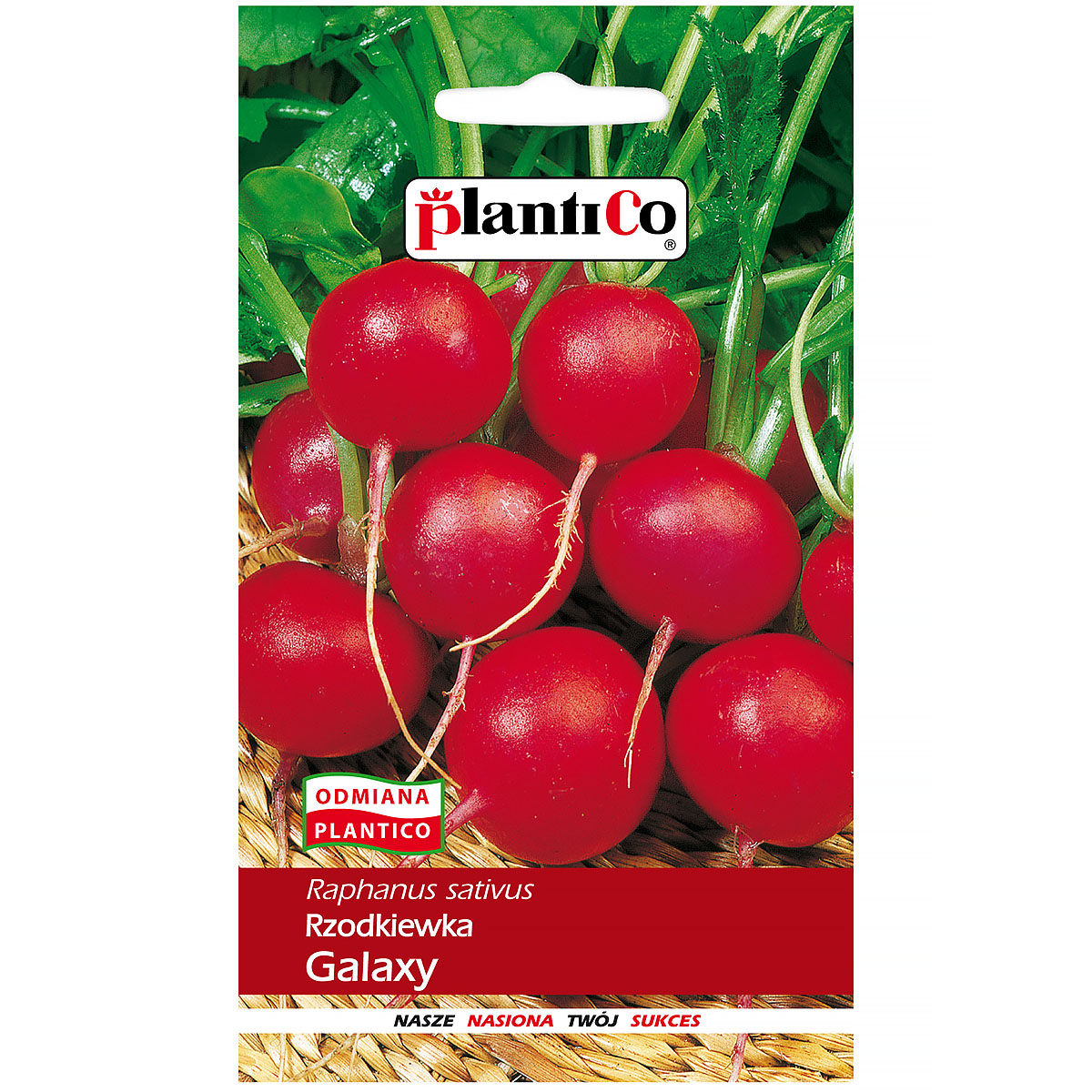 Rzodkiewka Wczesna Galaxy nasiona Plantico 10 g