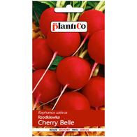 Rzodkiewka Wczesna kulista Cherry Belle nasiona Plantico 10 g