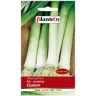 Por Mrozoodporny wczesny plenny Golem nasiona Plantico 1 g