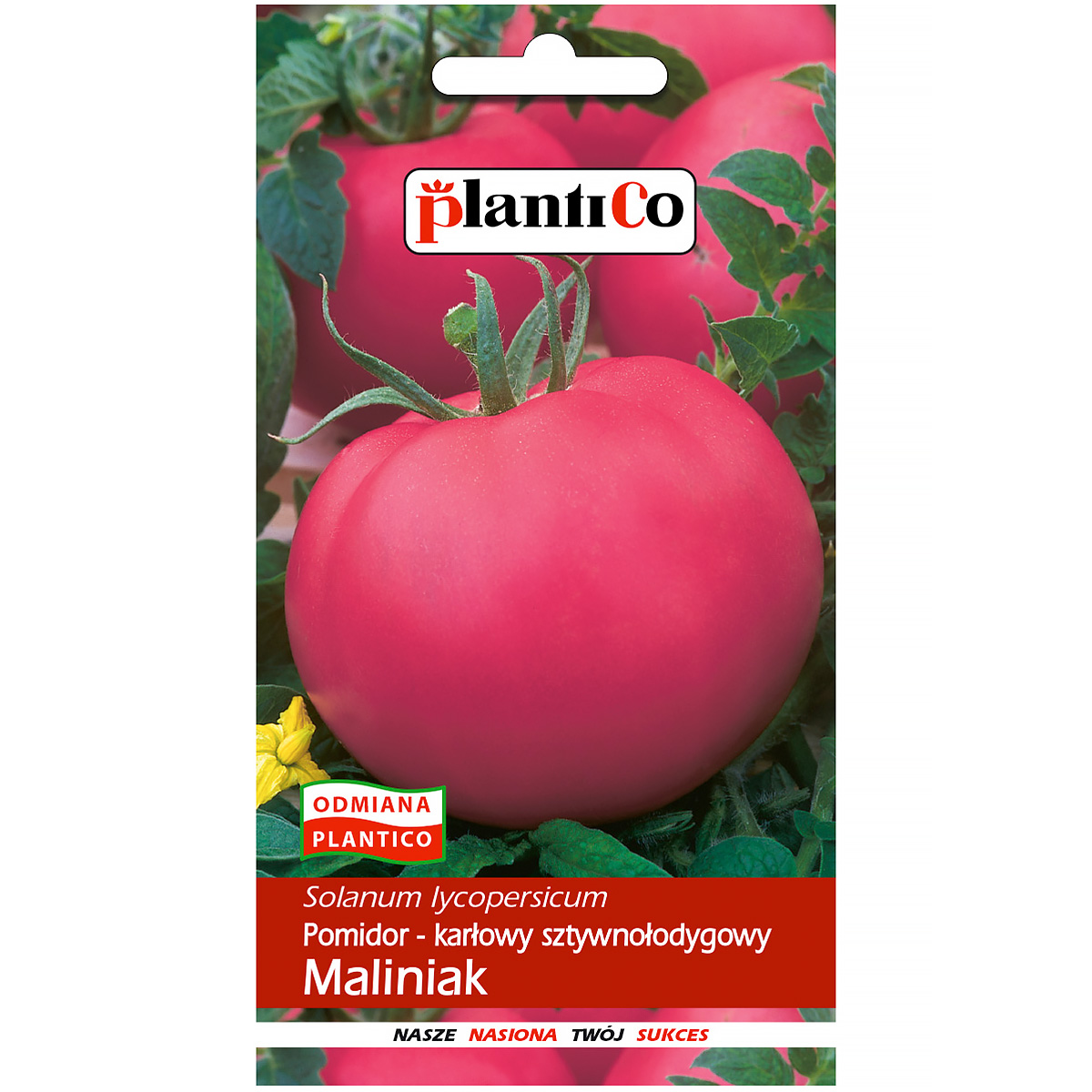 Pomidor Gruntowy Maliniak nasiona Plantico 0,5 g