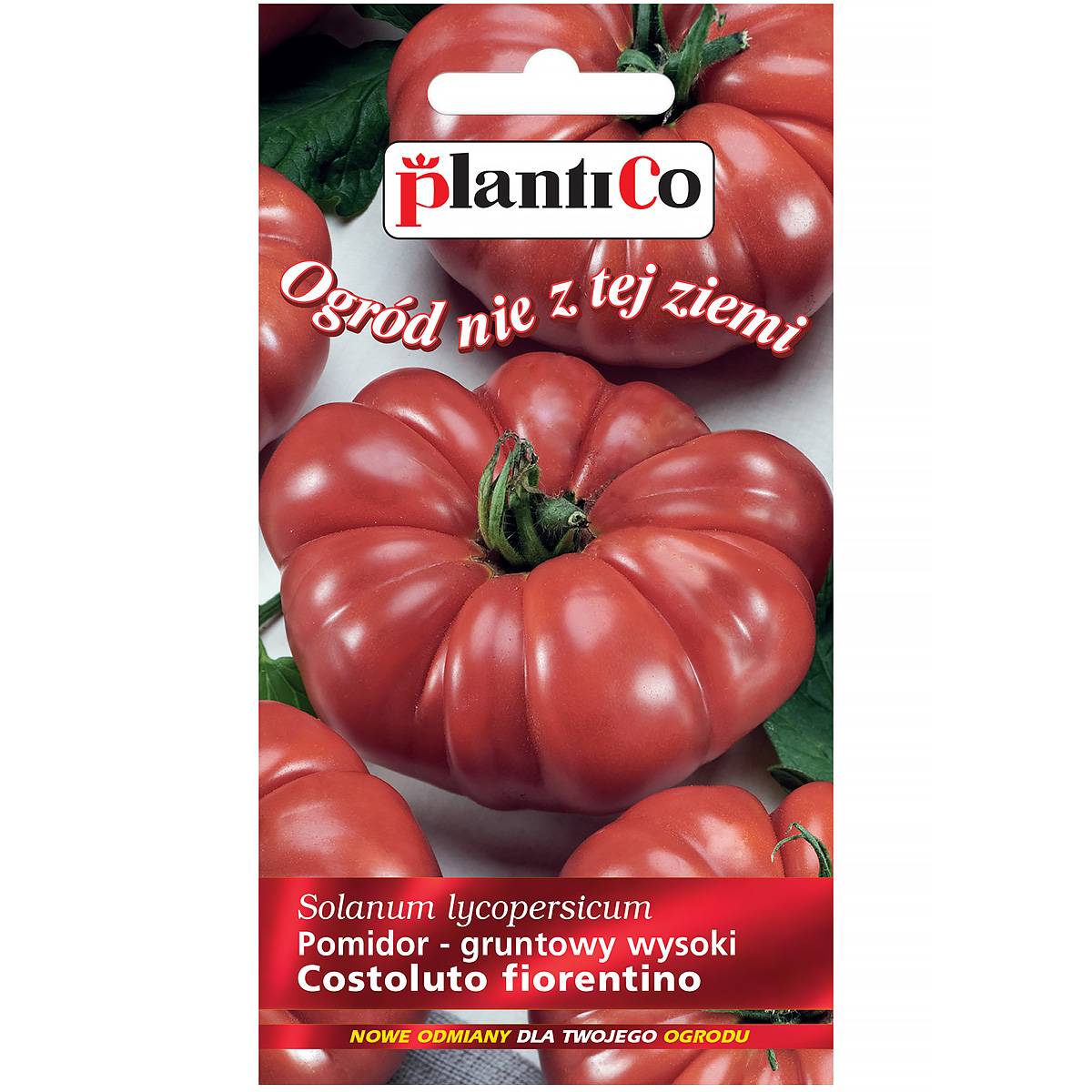 Pomidor Gruntowy Costoluto Fiorentino nasiona Plantico 0,2 g
