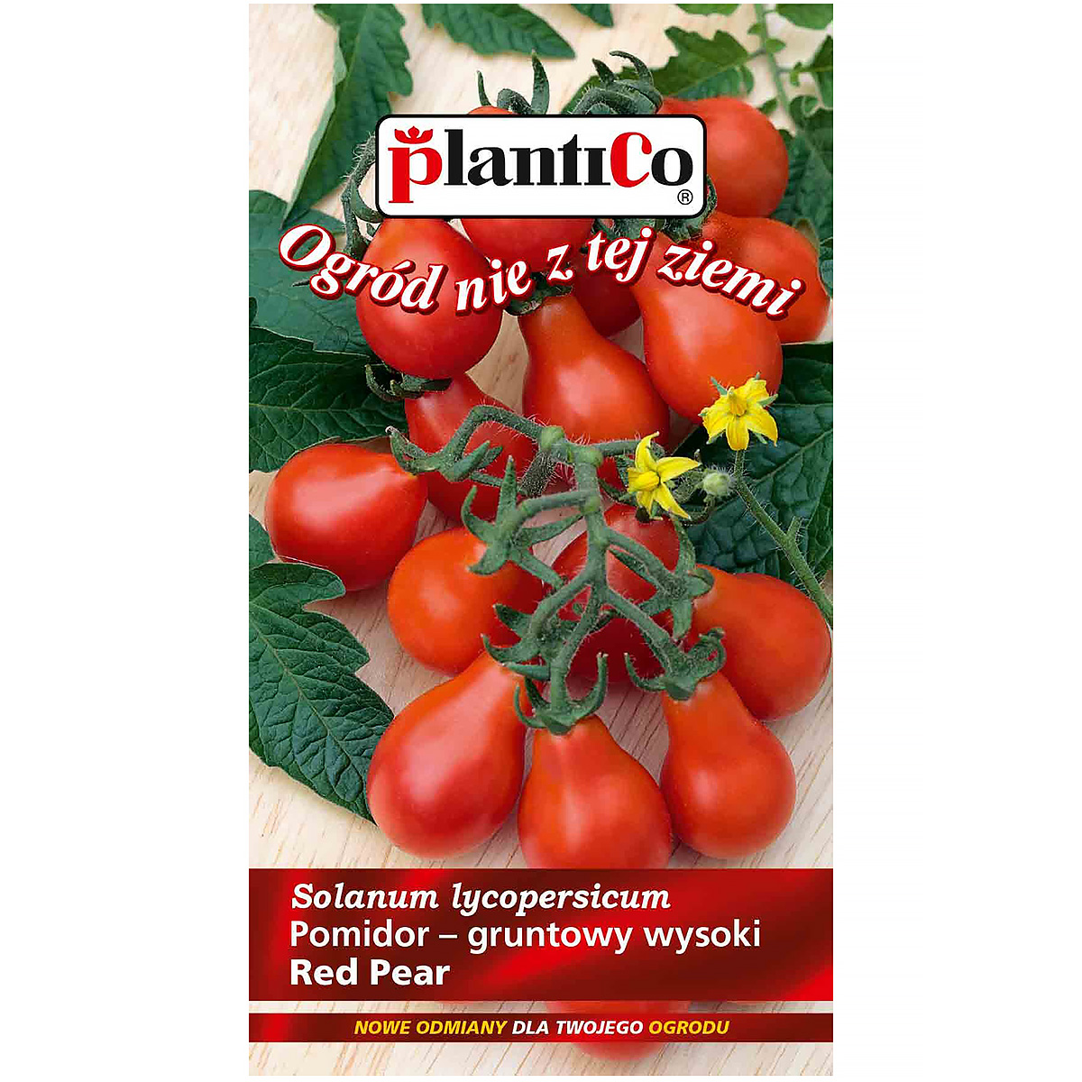 Pomidor Gruntowy Red Pear Czerwona Gruszka nasiona Plantico 0,2 g