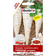 Pietruszka Korzeniowa Halblange Berlińska nasiona Plantico 6 g