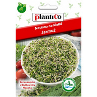 Kiełki jarmuż nasiona Plantico 5 g