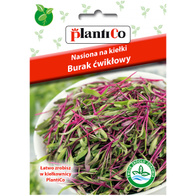 Kiełki burak ćwikłowy nasiona Plantico 20 g