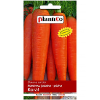 Marchew Jadalna Koral nasiona Plantico 5 g