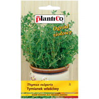 Tymianek pospolity nasiona Plantico 0,3 g