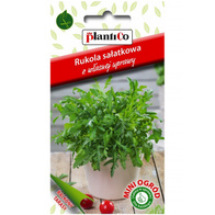 Rukola nasiona rukoli Plantico 0,5 g
