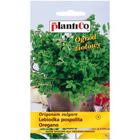 Oregano nasiona Plantico 0,1 g