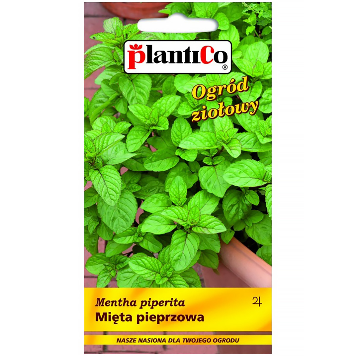 Mięta pieprzowa nasiona mięty Plantico 0,1 g