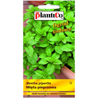 Mięta pieprzowa nasiona mięty Plantico 0,1 g
