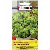 Bazylia właściwa nasiona ziół bazylii Plantico 1 g