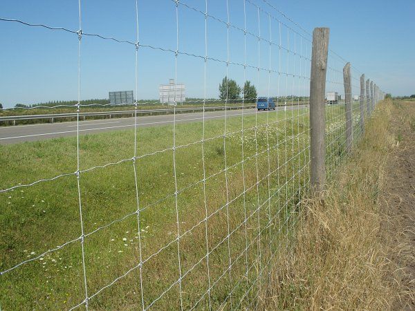 Siatka leśna 150/10/30 ocynkowana wysokość 150 cm rolka 50 mb