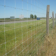 Siatka leśna 150/10/30 ocynkowana wysokość 150 cm rolka 50 mb