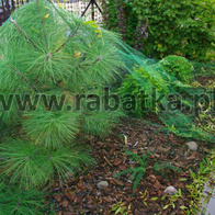 Siatka na liście na oczko wodne i klomby 4,8 x 50 metrów