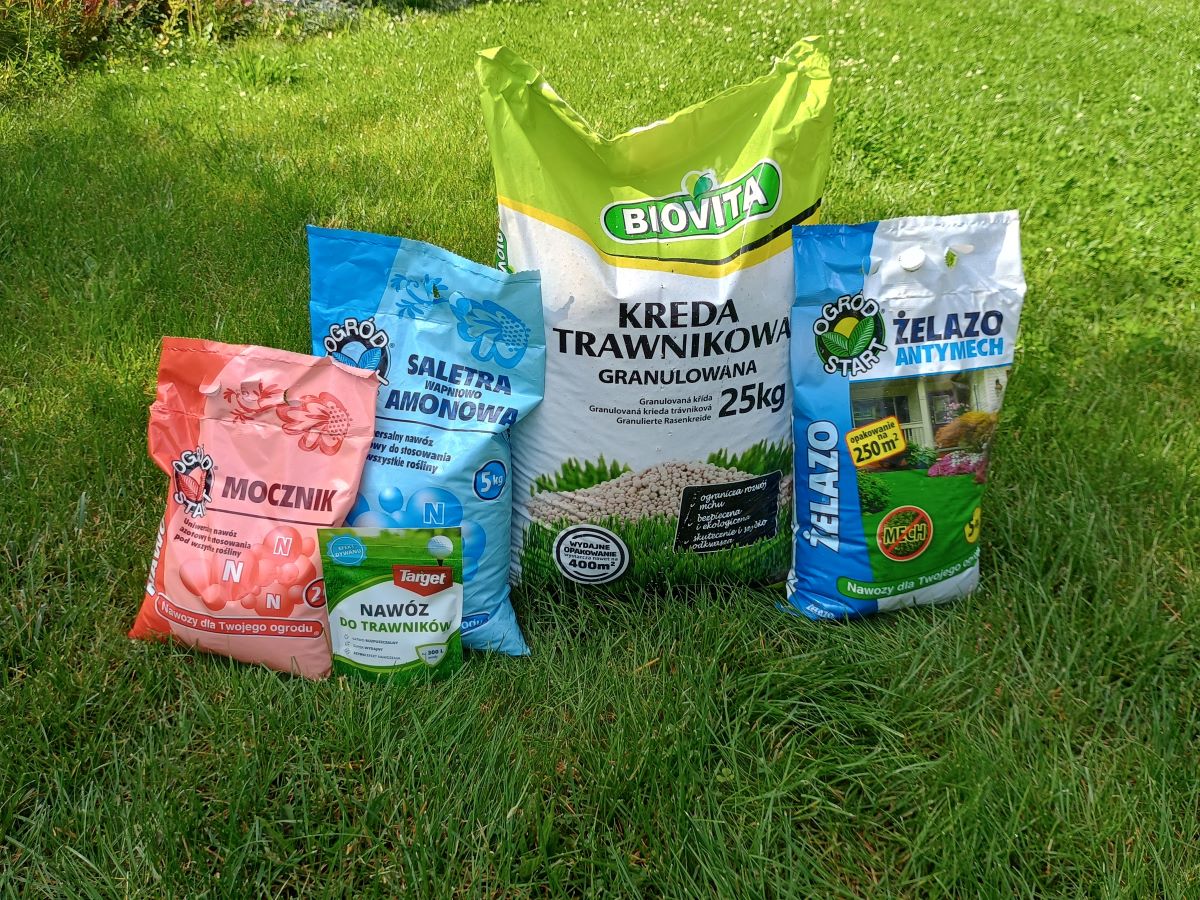 Najlepsze nawozy do trawnika: jak uzyskać zdrową i zieloną murawę?