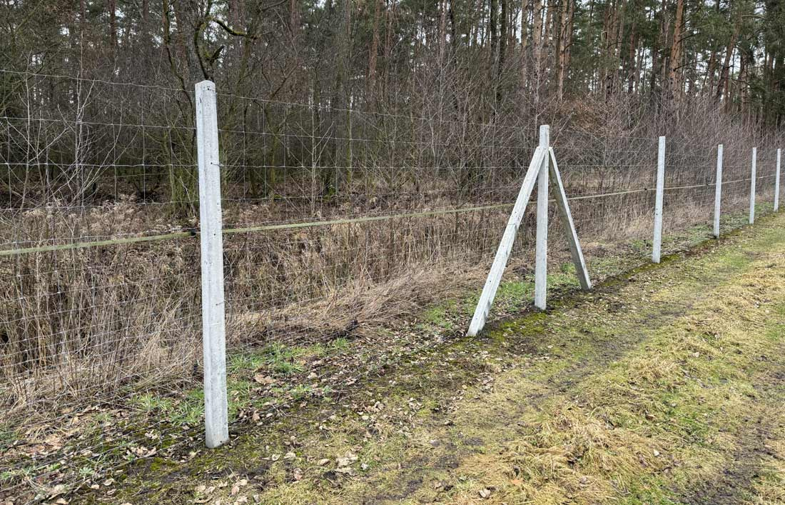 Ogrodzenia z siatki leśnej- praktyczny opis zastosowań