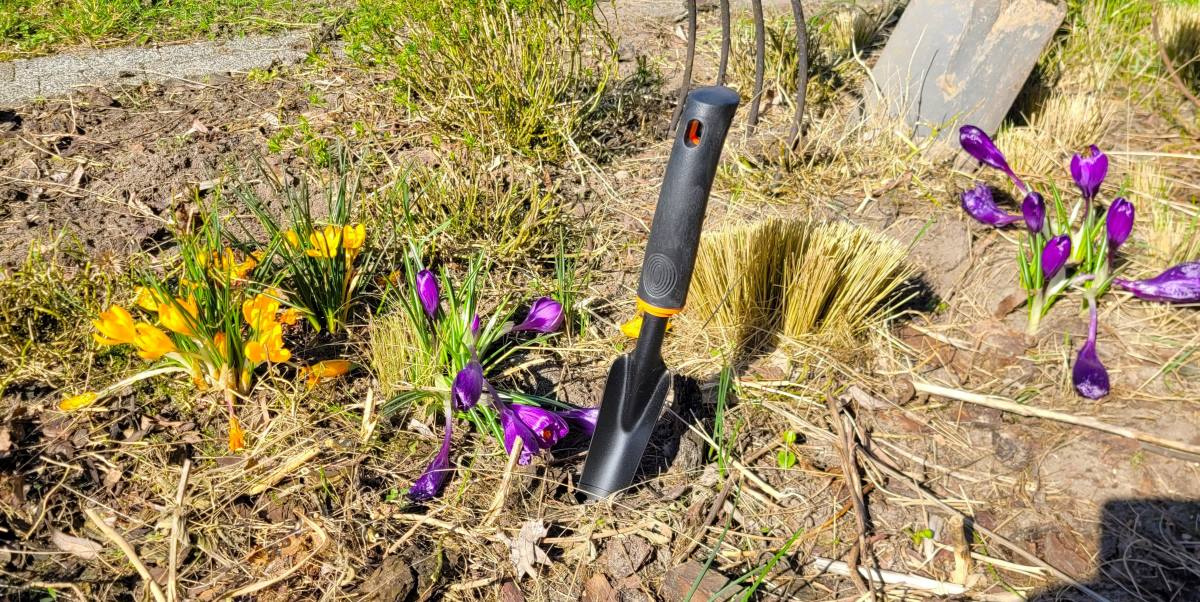 Ogródek warzywny - wiosenne przygotowania i siewy