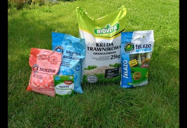 Najlepsze nawozy do trawnika: jak uzyskać zdrową i zieloną murawę?